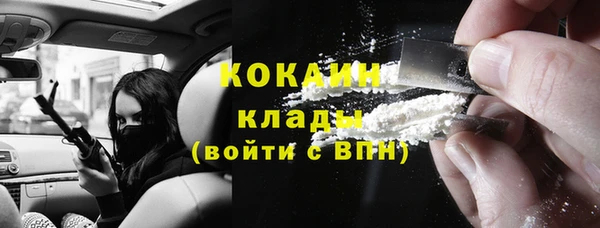 дживик Надым