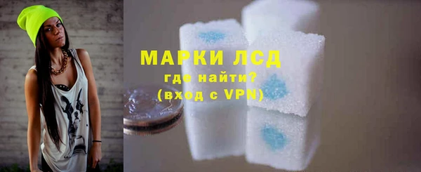 дживик Надым