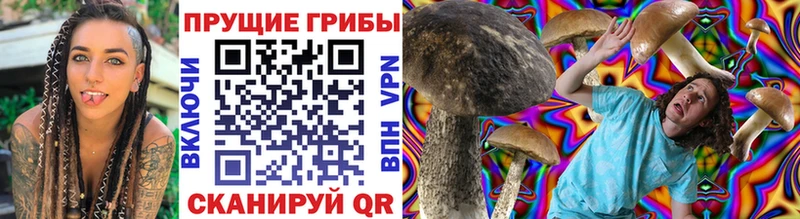 Галлюциногенные грибы Magic Shrooms где найти наркотики Нижняя Салда