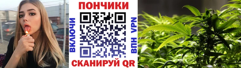 Бошки марихуана THC 21%  Нижняя Салда 